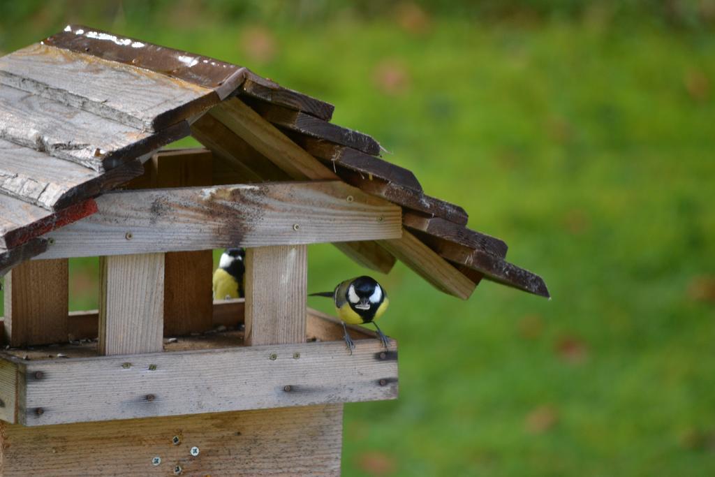Mini hotel Škofja Loka Exteriör bild